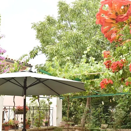 Holiday House Letizia Premantura Exterior photo