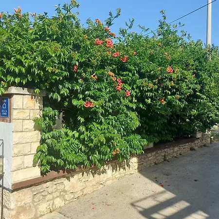 Holiday House Letizia Premantura Exterior photo