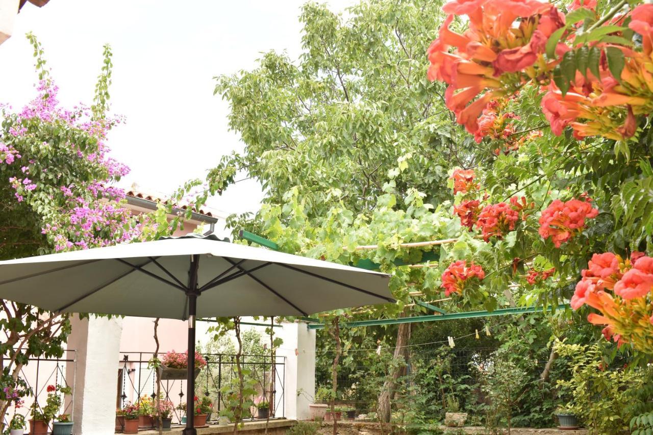 House Letizia * Premantura